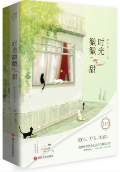 时光微缩师赵培艺抖音