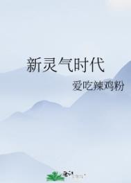 新灵气时代txt