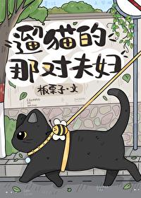 遛猫很奇怪吗