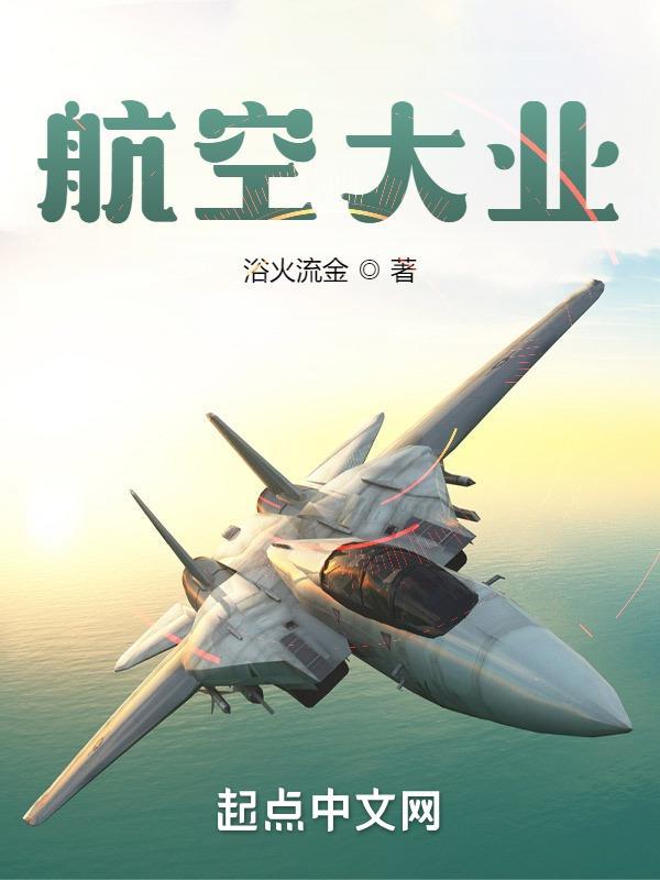 航空大亨6