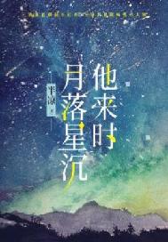 小说他来时月落星沉