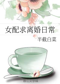 女配求离婚日常全文免费