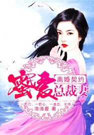 闪婚蜜爱总裁契约妻