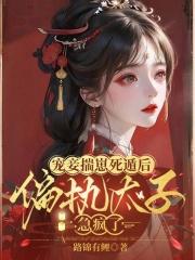 小说宠妾