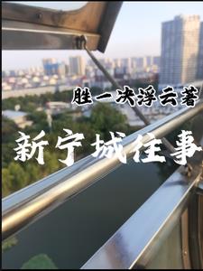 新宁县脐橙价格今日走势图