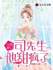 闪婚深情司少的心尖宠